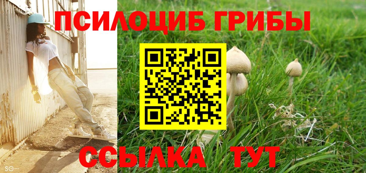 Железноводск  Псилоцибиновые грибы мицелий  Вход с VPN 